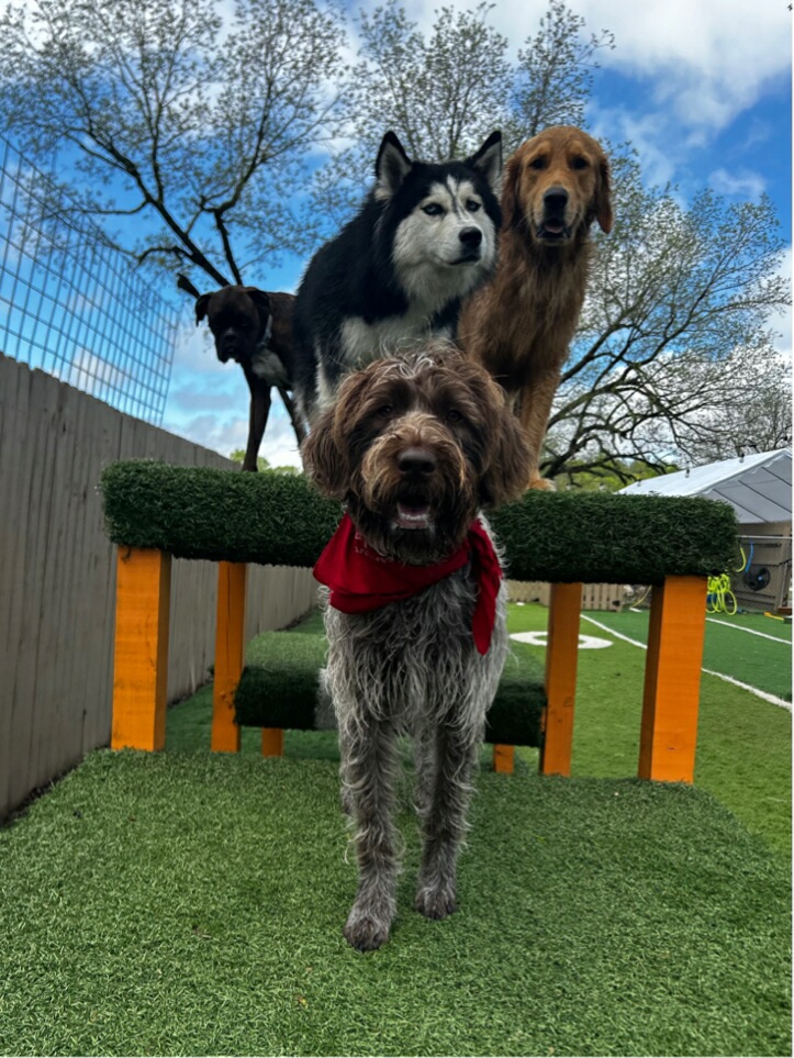 A Peaceful Pack