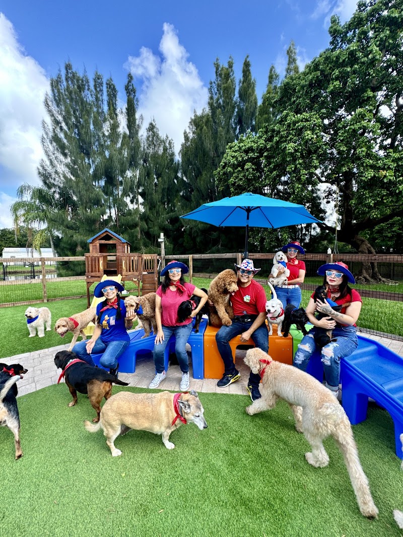 Acuarela Dog Ranch - Southwest Ranches