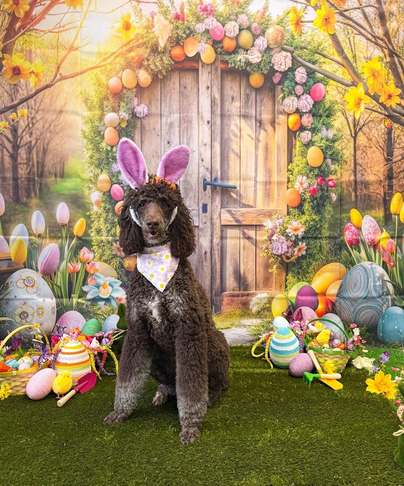 Aloha Pet Resort & Spa