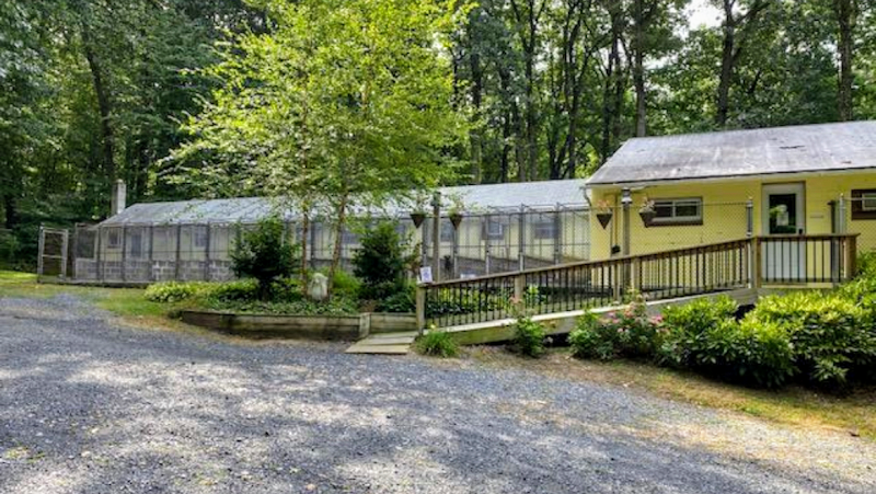 Alpine Kennels and Grooming