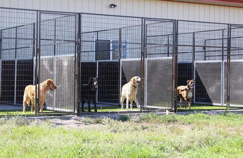 Amazing Acres Pet Resort