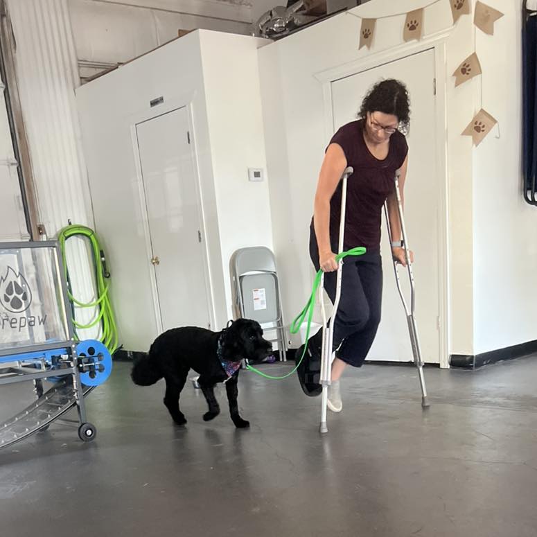 Andover Dog Training Center