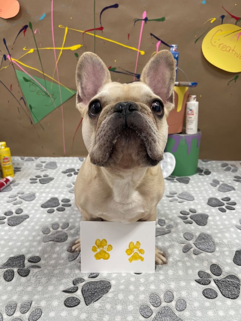 Antonia's Paw Spa & Retreat