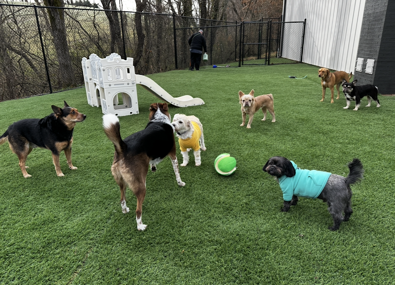 Appalachian Tail Pet Resort