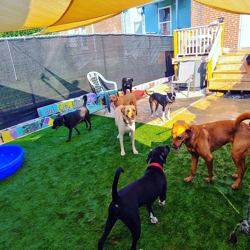 Arch City Dog Boarding
