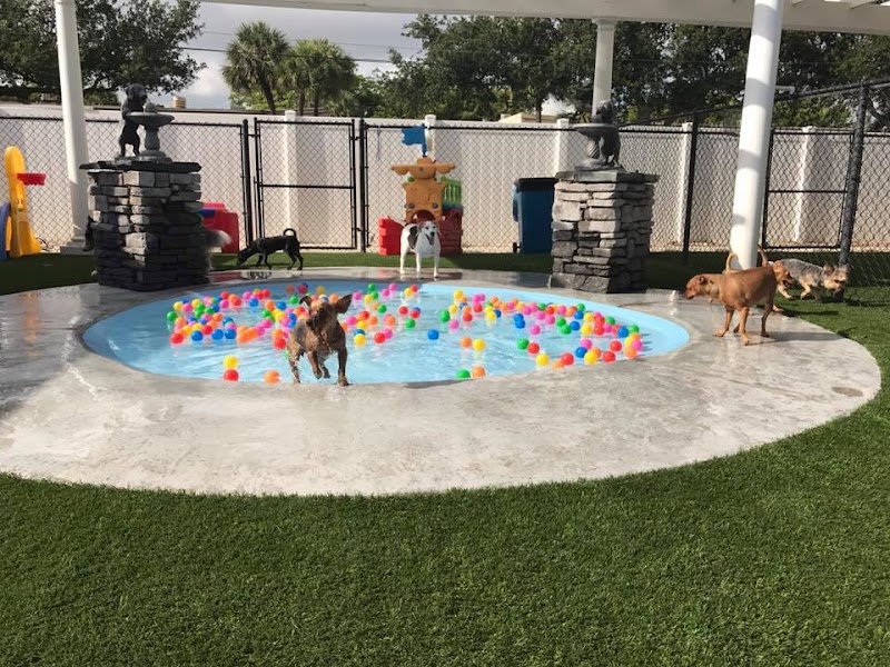 Arfington Pet Resort