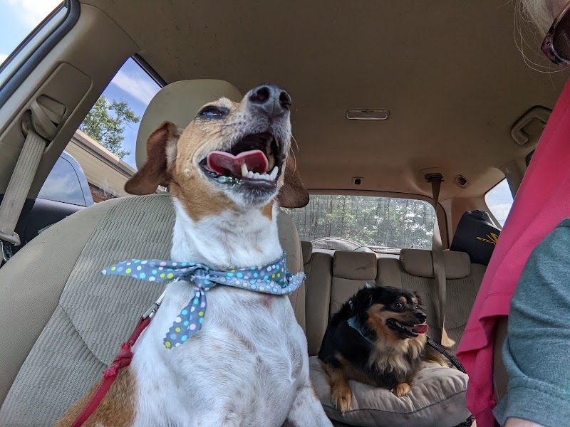 Arkansas Pet Resort