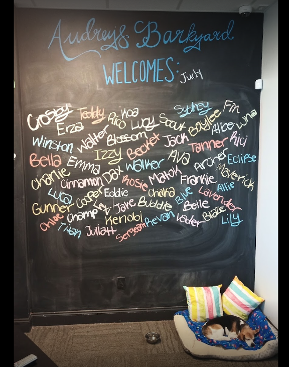 Audrey's Barkyard