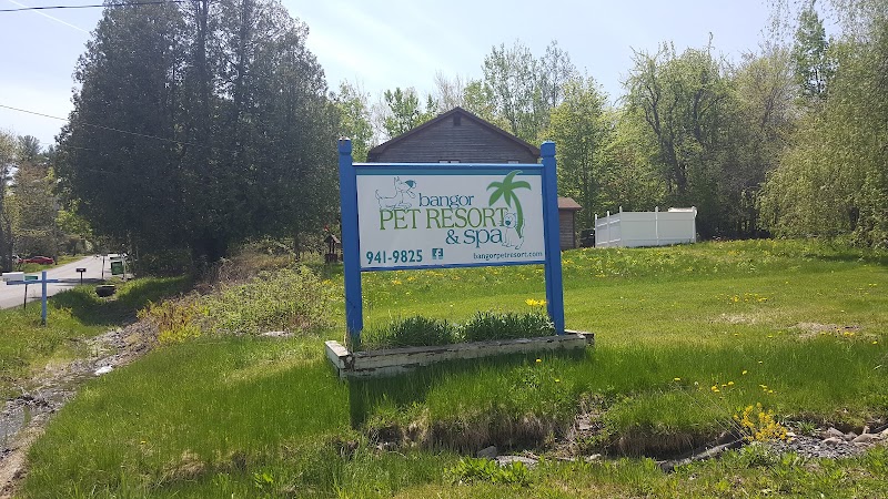Bangor Pet Resort & Spa