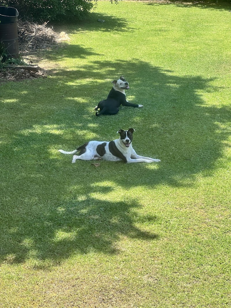 Bark Avenue Pet Resort