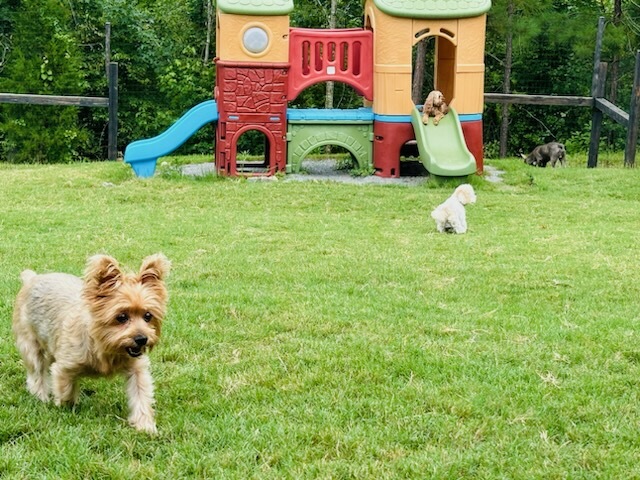 BARK BARN