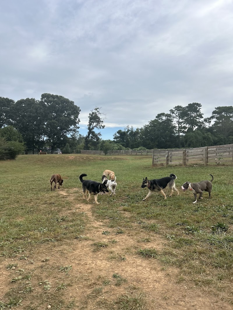 Bark Camp Farm