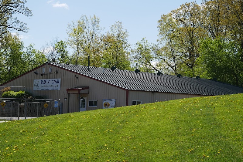 Bark 'N' Town Pet Resort and Day Spa