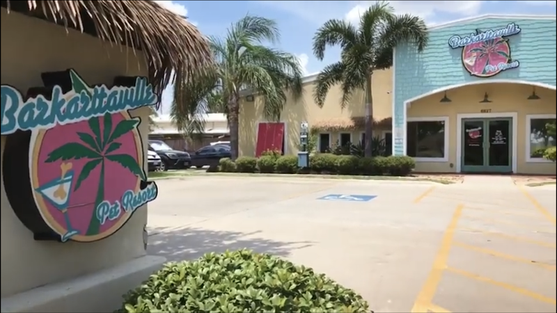 Barkaritaville Pet Resort