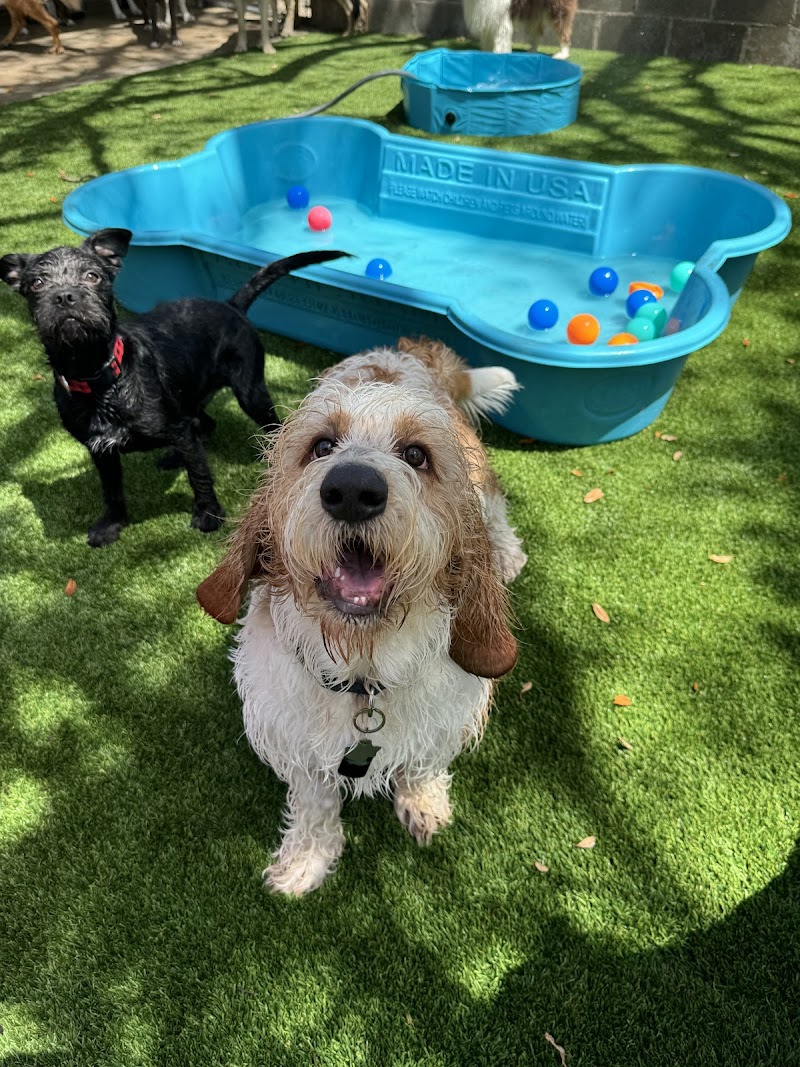 Barking Oaks Pet Resort