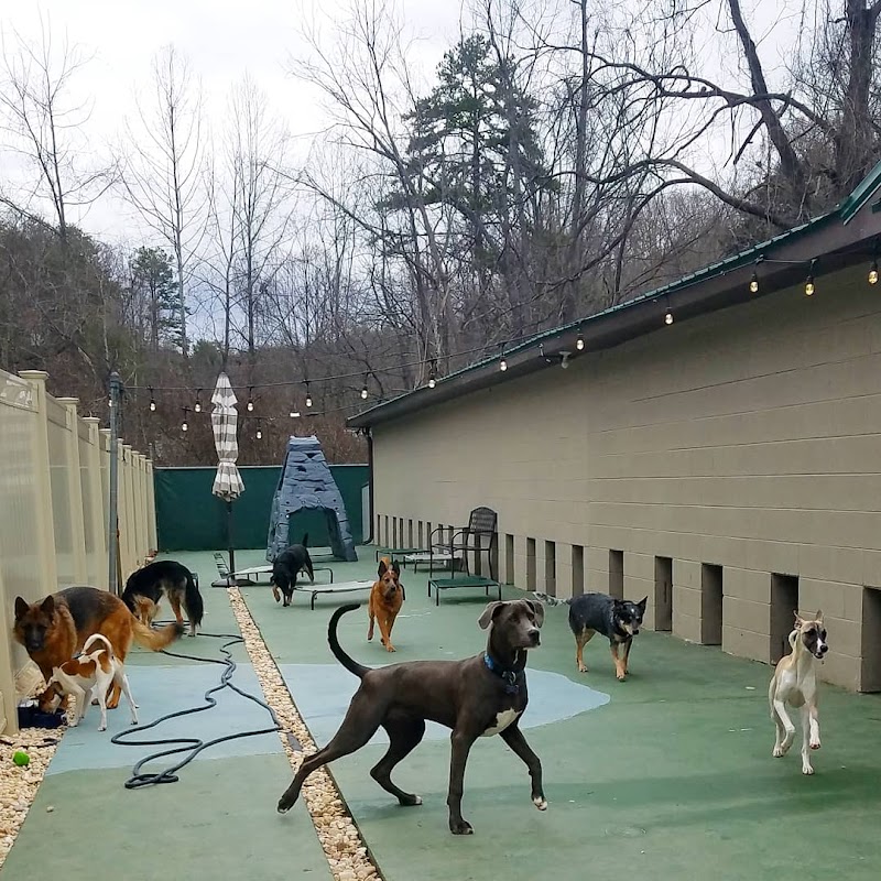 BarkMore Park