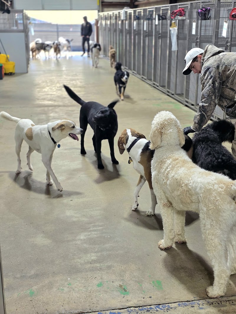 BarkYard Station (formerly Happy Trails Pet Center)
