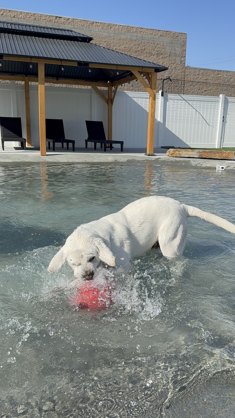 Barkz & Recreation