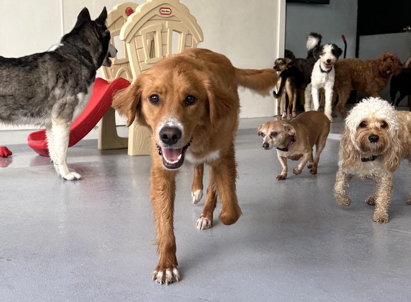 Baxter's Playhouse