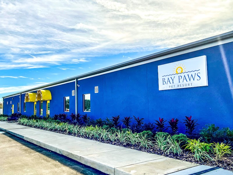 Bay Paws Pet Resort - Wesley Chapel