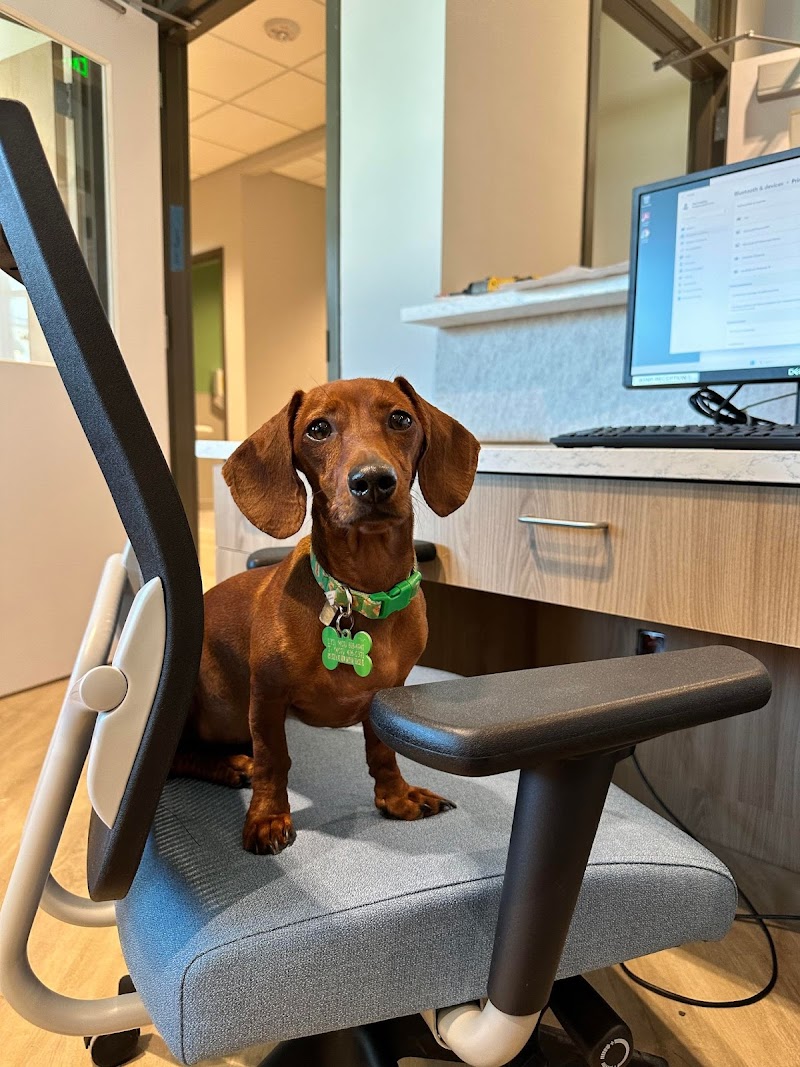 Bayside Pet Resort