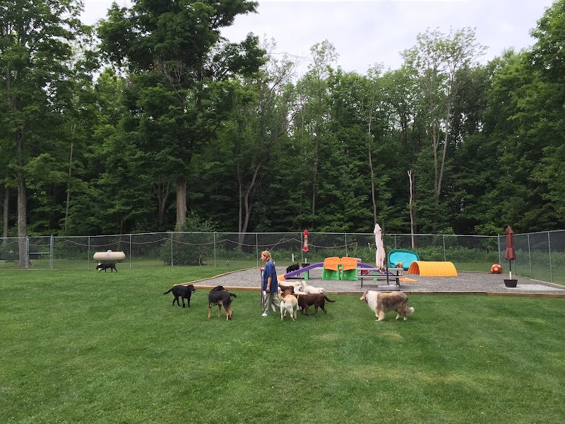 Bed and Biscuit of Ithaca - Country Club for Dogs and Cats