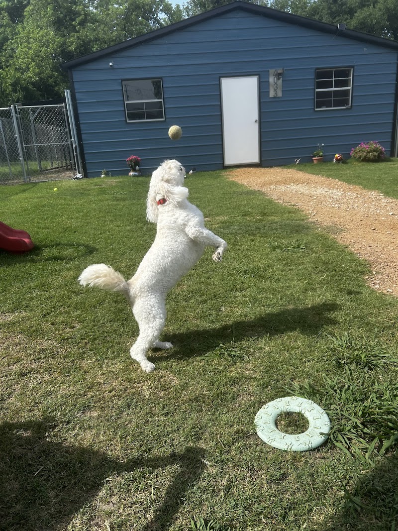 Blue Barn Pet Resort