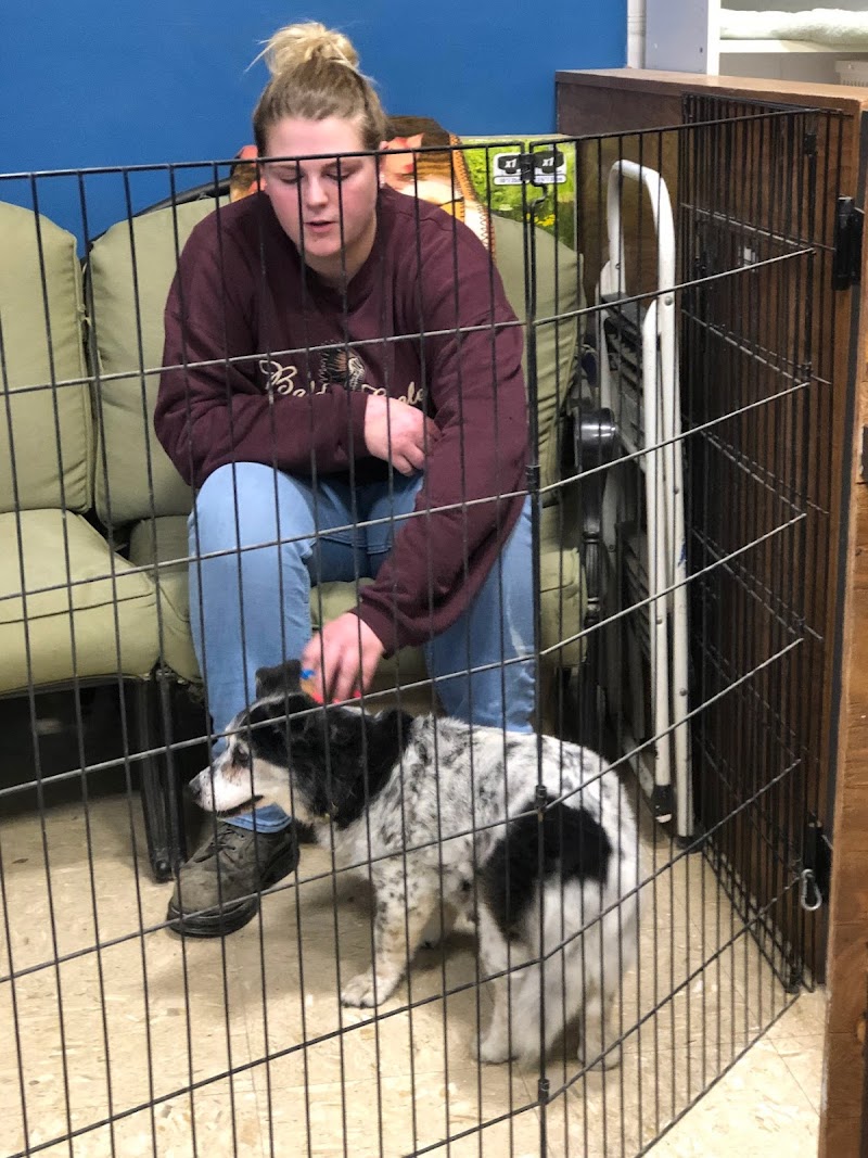 BnB Pet Retreat