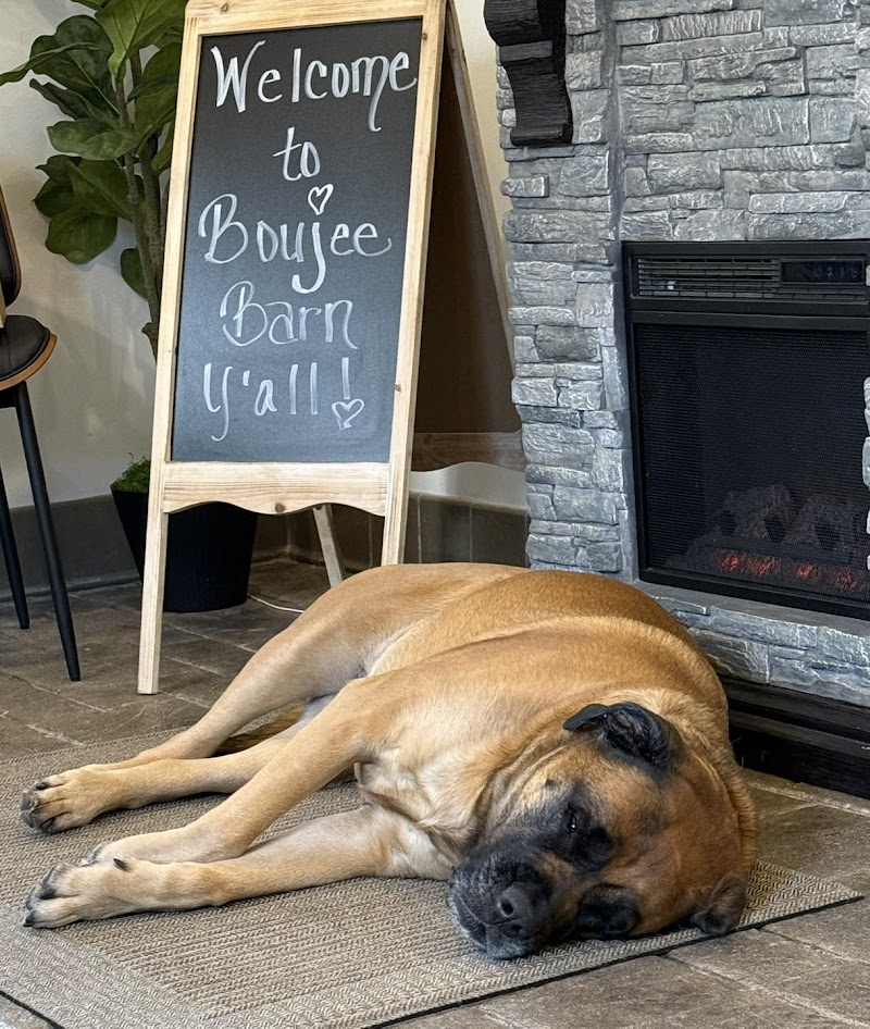 Boujee Barn Pet Resort