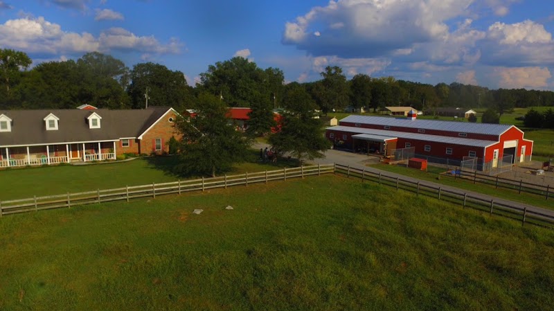 Brammer Farms LLC: The Shaggy Hound Pet Hotel, Daycare, Grooming & Training