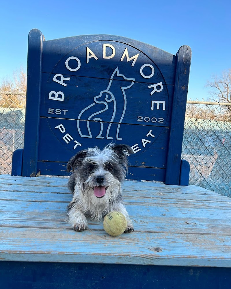 Broadmore Kennels
