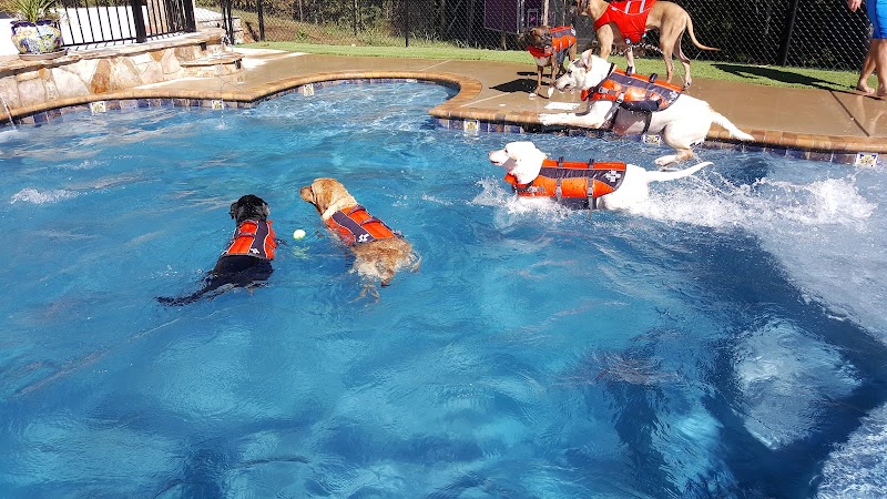 Bubbles & Bows Tropical Pet Resort & Spa Inc.