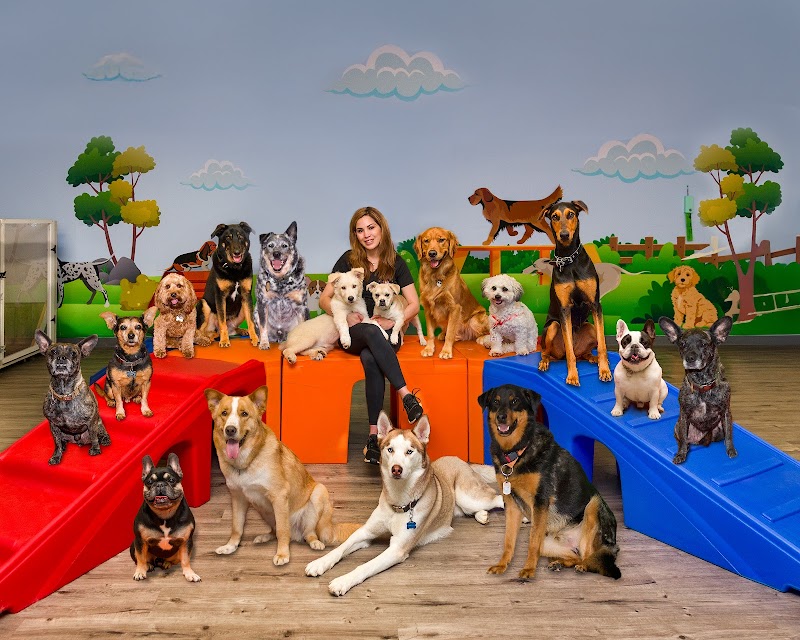 Calabasas Pawz Inn