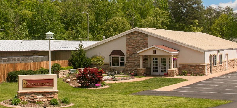 Calypso Kennels