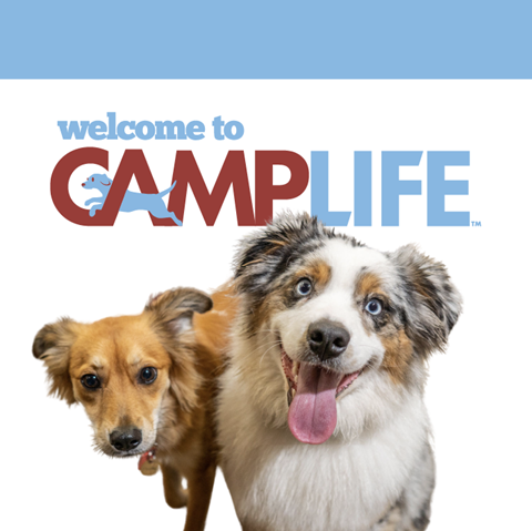 Camp Bow Wow Memphis East