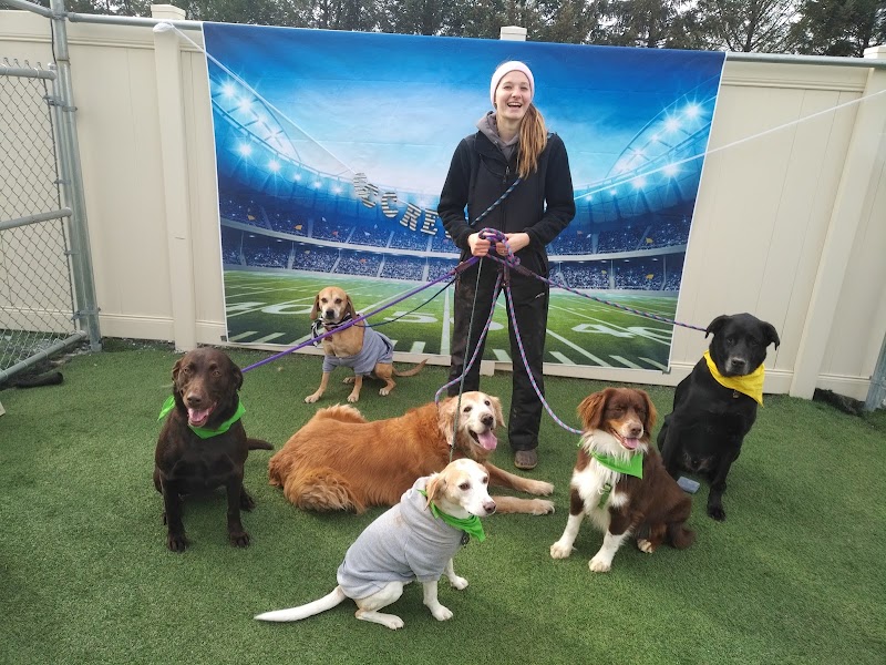 Canine Country Club Inc,