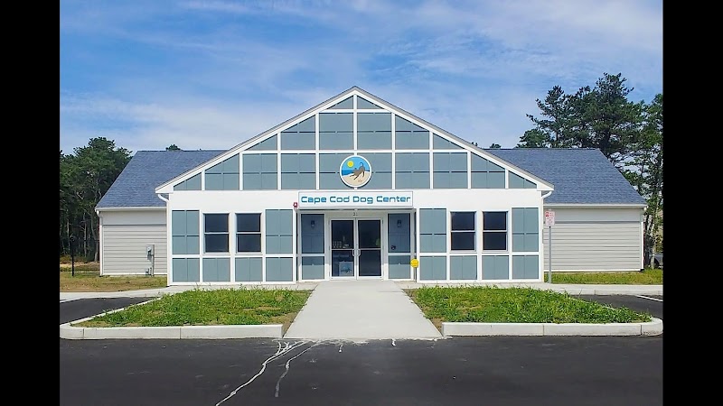 Cape Cod Dog Center