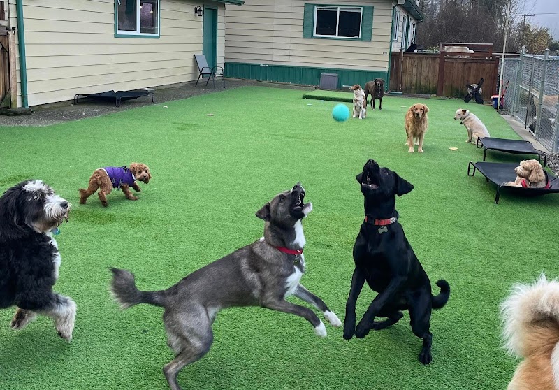 Carolyn's K9 Retreat