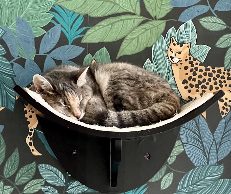 Cat's Meow Resort