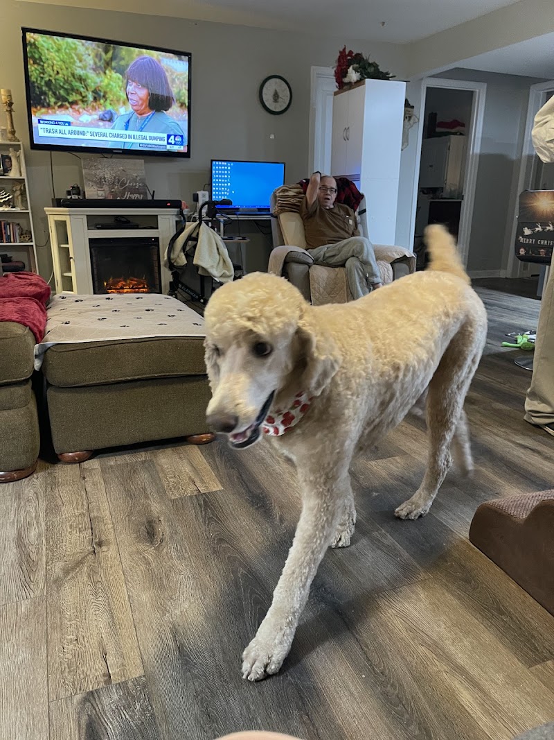 Chesapeake Pet Resort and Day Spa