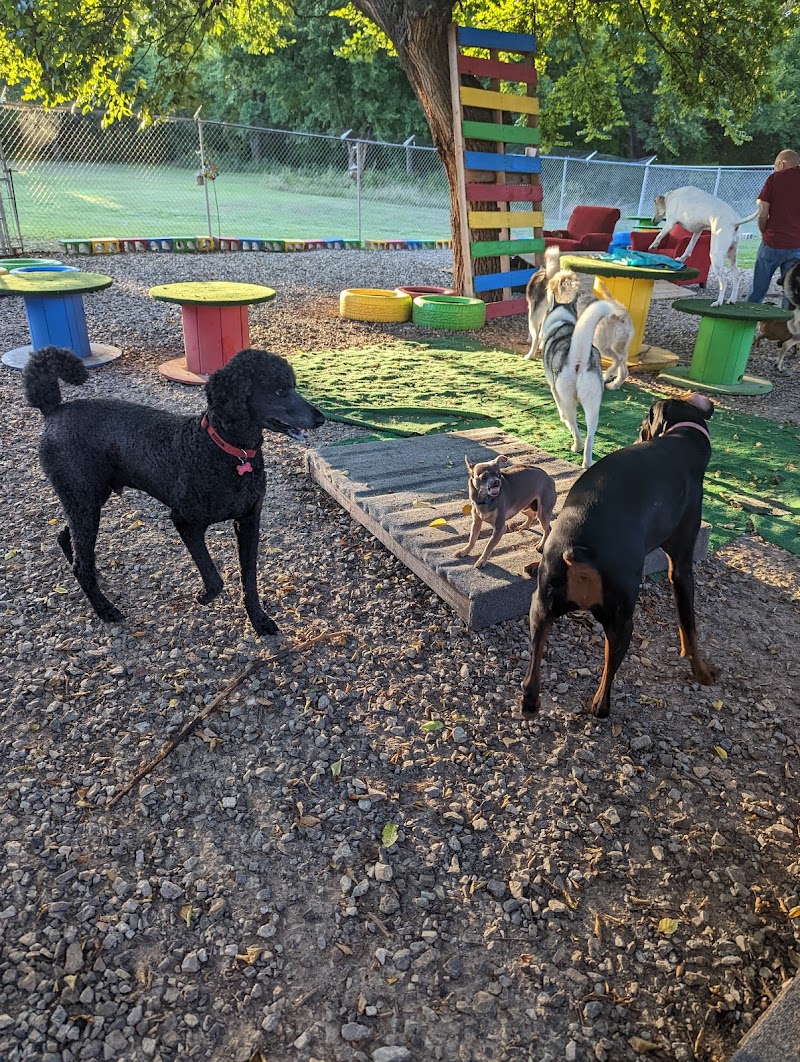 CK Pet Resort & Spa
