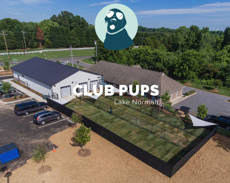Club Pups Lake Norman