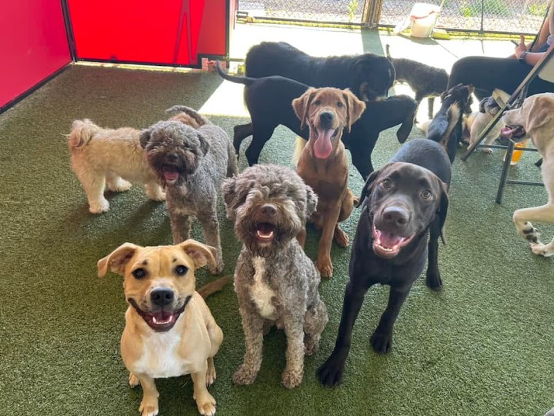 Cottonwood Pet Resort