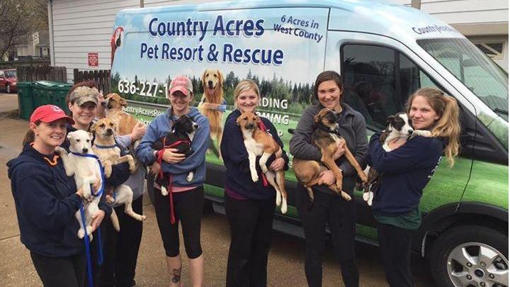 Country Acres Pet Resort