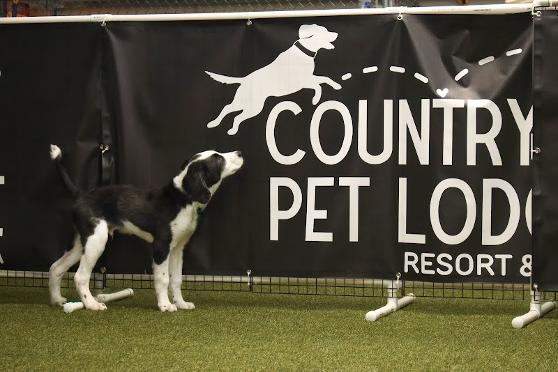 Country Pet Lodge