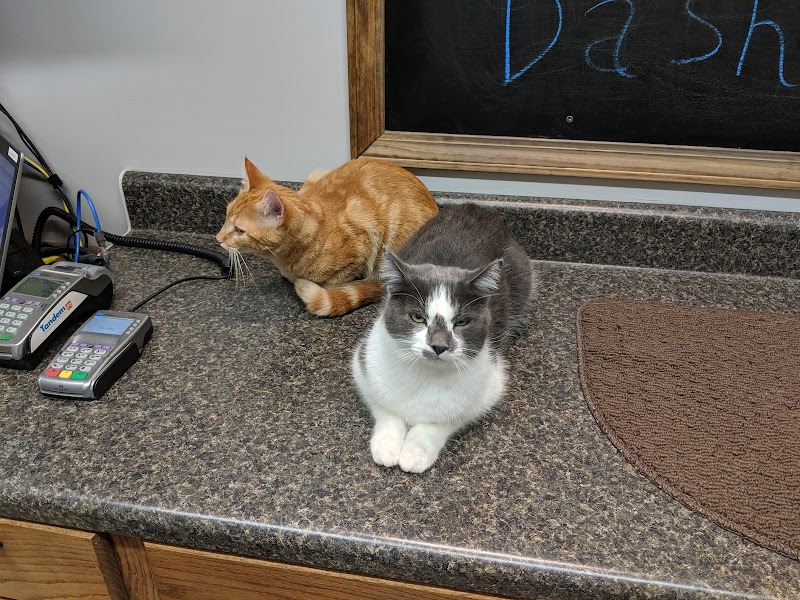 Creature Comforts Veterinary Resort and Suites, Inc.