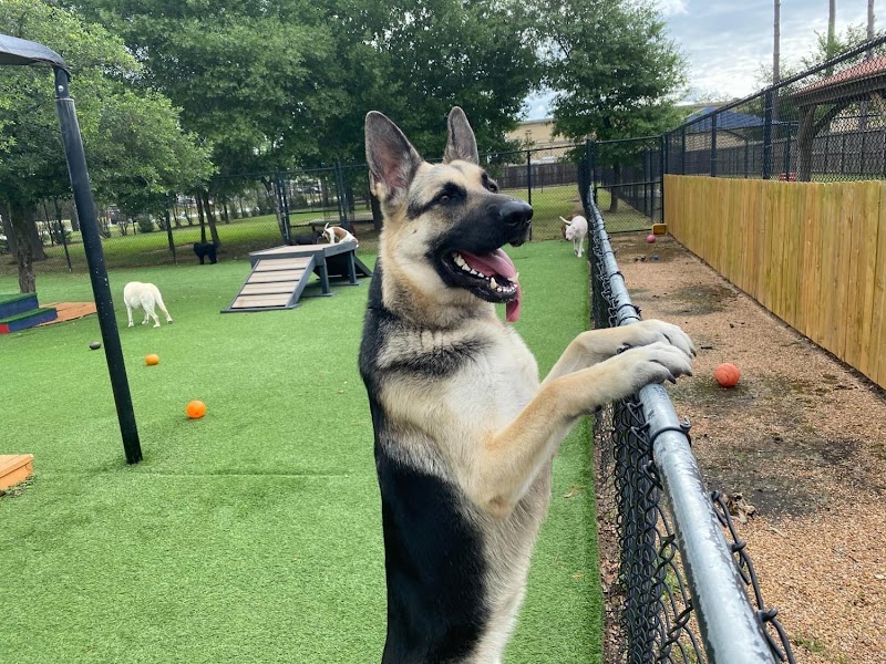Cypress Falls Pet Resort & Spa