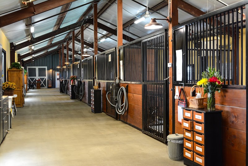 DAIRYDELL CANINE - Doggie Dude Ranch & Training Center