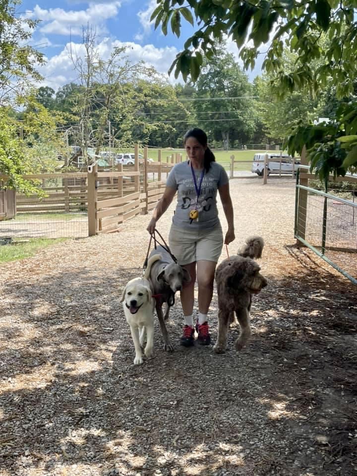 Dancing Creek Farm