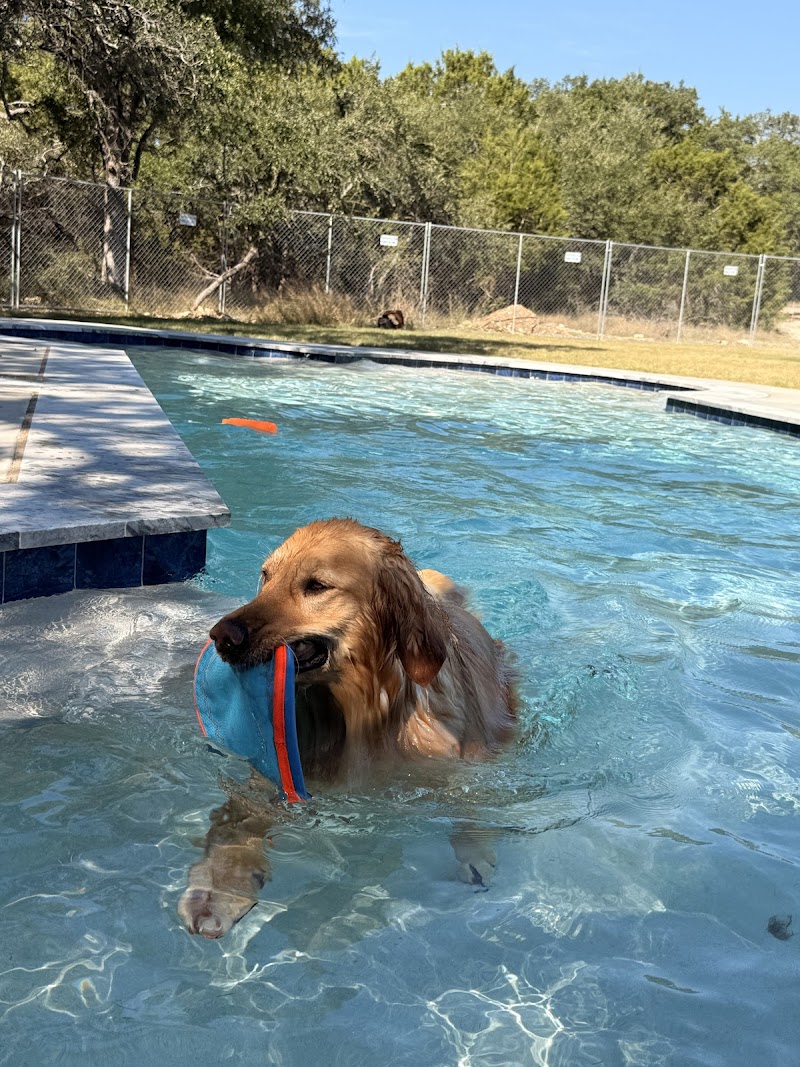 Dog Camp Pet Resort